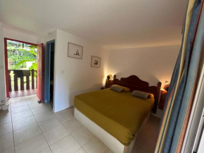 Studio palmiers royaux